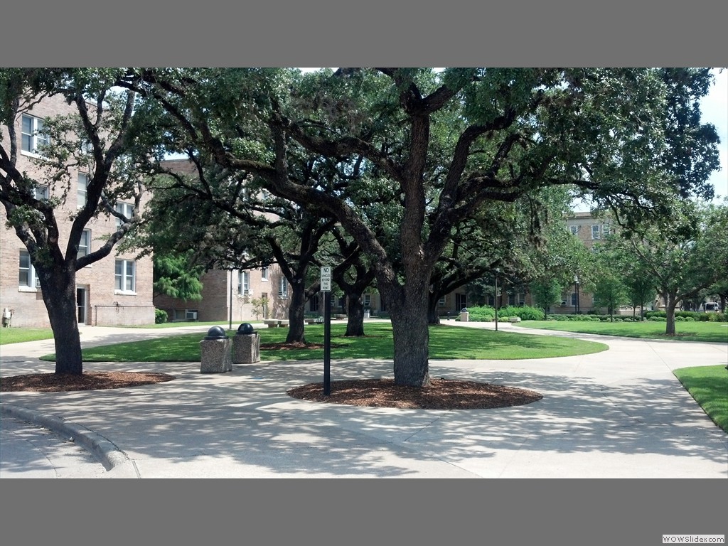 Texas A&M, another area between buildings near Military Walk